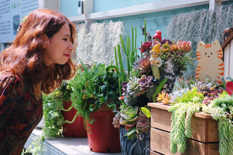 ​科博館植物園《微景之韻》特展 攜手農業部種苗場打造療育多肉植物世界
