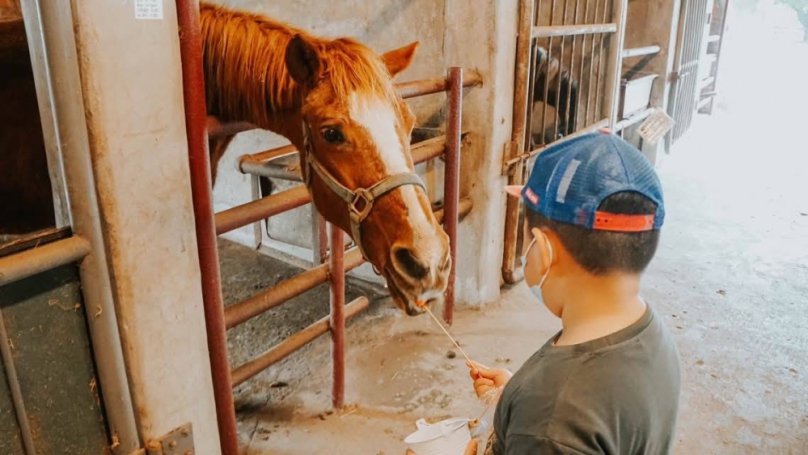 兒童節連假親子出遊首選台中！「馬場體驗、樂園冒險、森林賞螢」限定優惠隨你玩