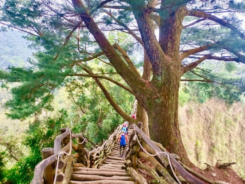 台中大坑眺景秘境開箱！  觀旅局：4月到大坑5號步道感受雲霧繚繞風情