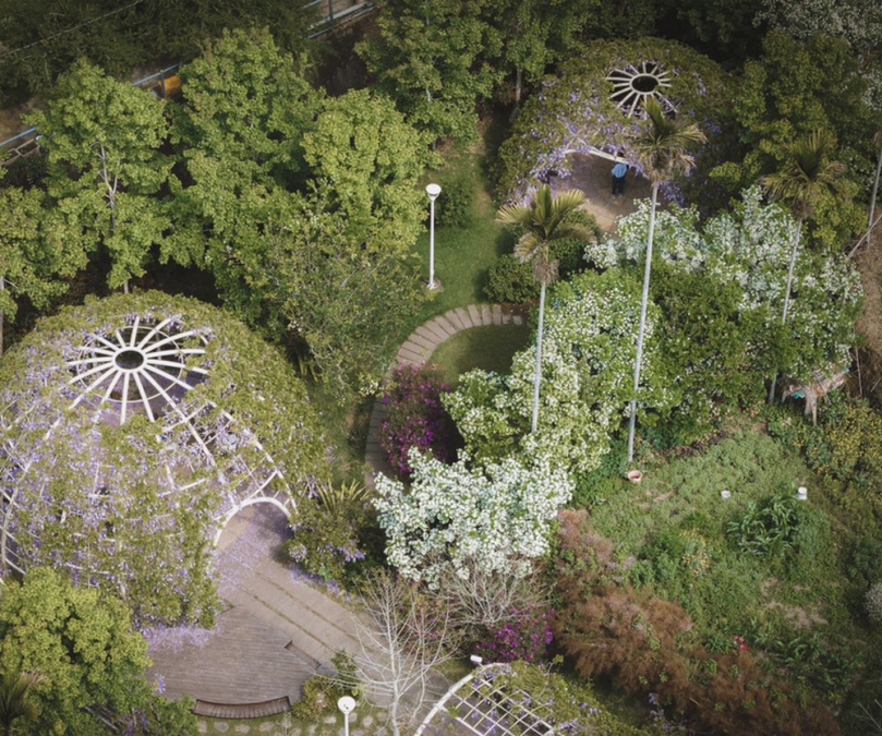 阿里山賓館延續花季浪漫推「螢光星旅」 春末夏初秘境螢火蟲探索趣