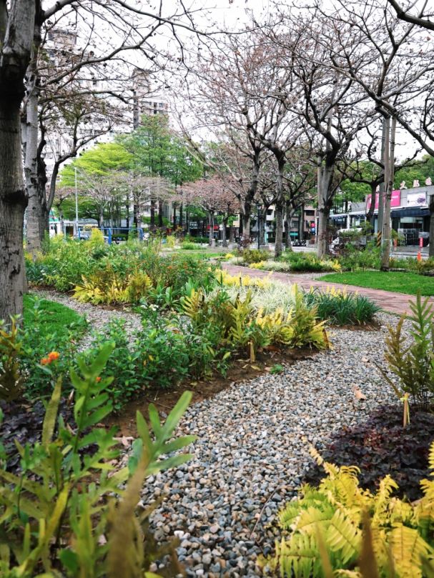 花之道計畫持續前進！ 台中南區忠明園道綻放花園新貌