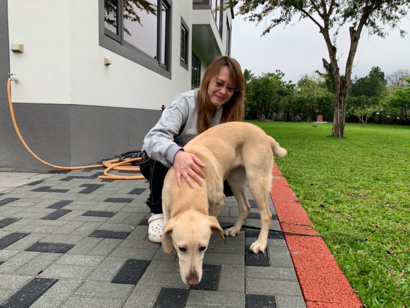 新竹市消防搜救犬Veca光榮退役    落腳南投安享下半生