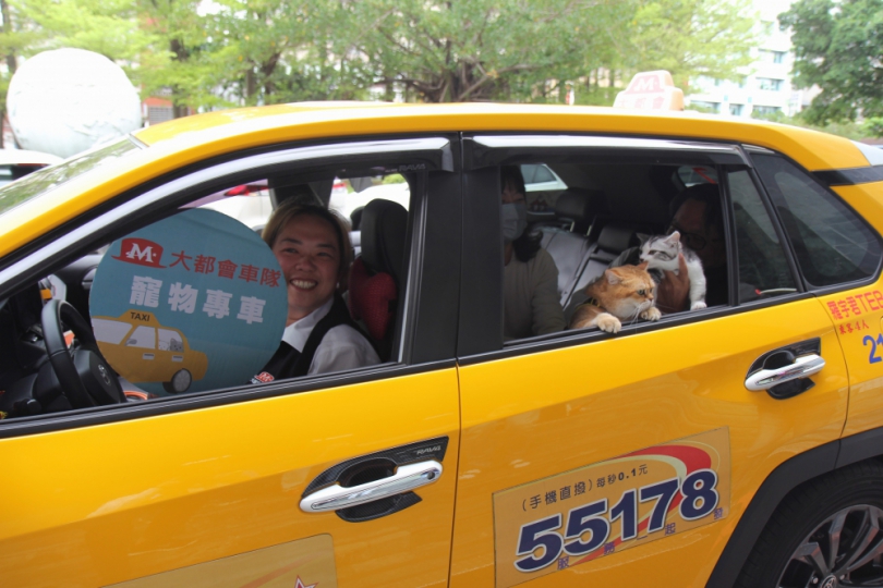 響應國際寵物日！中市交通局推廣毛孩友善計程車共乘搭小黃不加價