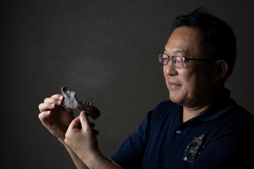 臺灣最古老人類化石！ 科博館與跨國團隊研究證實澎湖原人化石是丹尼索瓦人