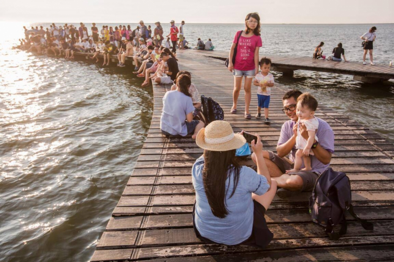 高美溼地生態旅遊  中市觀旅局：探訪台灣最美的自然寶藏
