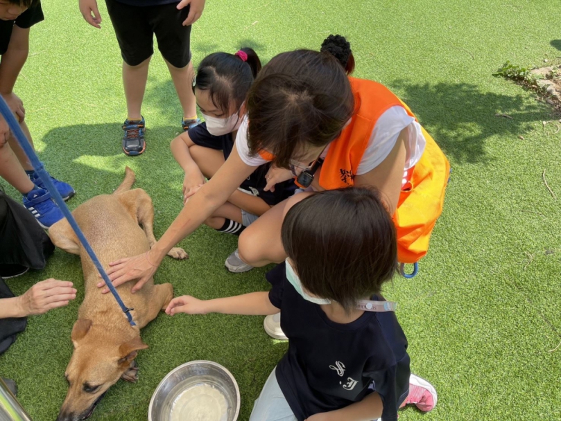 用熱情擁抱生命！新竹縣動保所114年度動物保護志工招募開跑