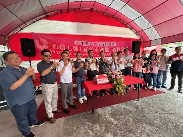 太平紅鈴水蜜桃上市  農會和興農公司辦品嚐義賣捐助3所小學等