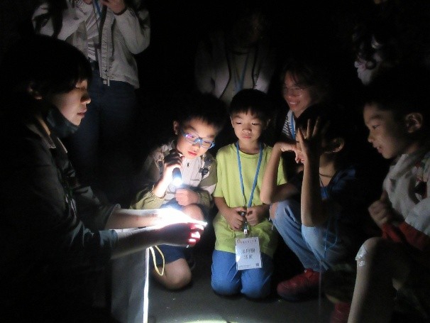 螢火蟲出沒滿月圓    夜間森林好璀璨