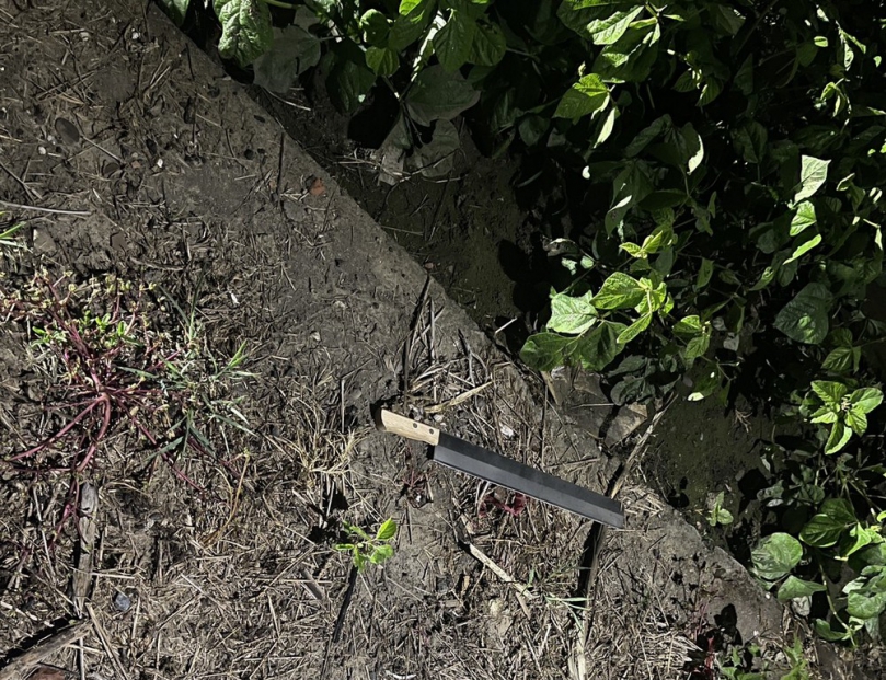 朴子警分局迅速查緝 桌遊店持刀傷人案兩嫌到案