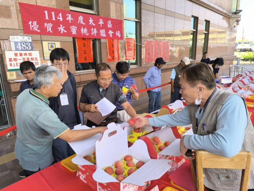 太平紅鈴蜜桃評鑑   昭告大眾紅鈴現世！