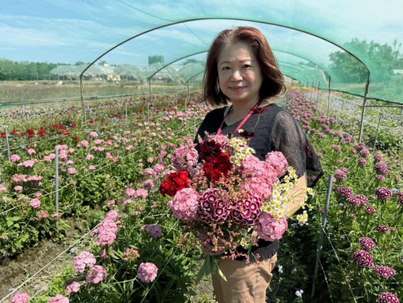 后里區公所跳脫傳統　母親節改送繡球撫子