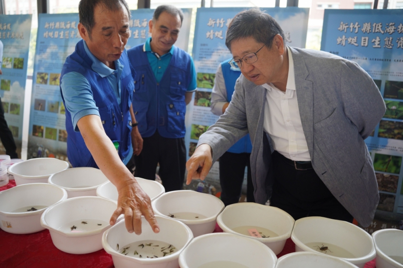 種類最多！新竹縣是蜻蜓天堂   縣府出版「蜻蜓竹跡」圖鑑