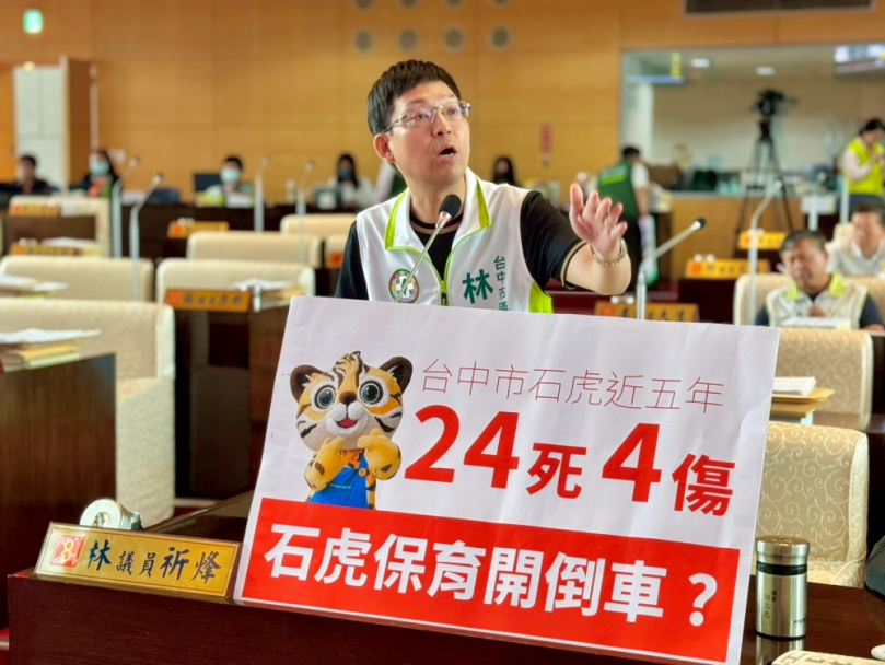台中市石虎五年24死4傷   民進黨台中市議員林祈烽批市府保育大開倒車     農業局：中市推動「石虎保育行動計畫」訂定各項績效指標