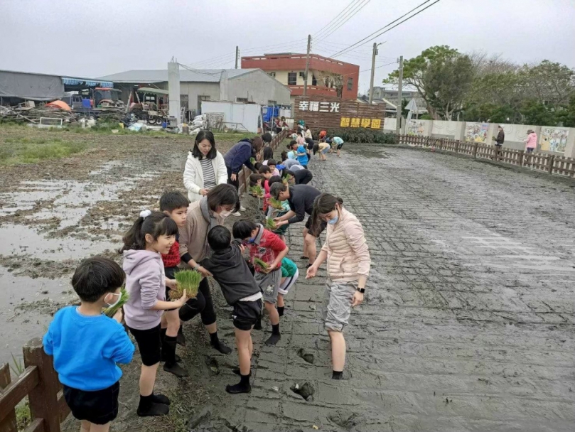 大安農會重視食農教育　  三光國小春日插秧趣