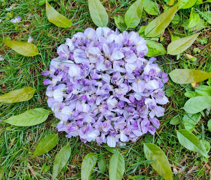 走進森林與夜遊塔塔加追星光 阿里山賓館限定住房優惠呵護媽咪