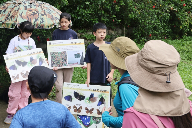 夏日山林化身賞蝶秘境！大坑限定活動5/12開放報名