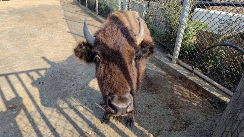 新竹高雄動物交流大成功！六福村4嬌客喬遷壽山動物園