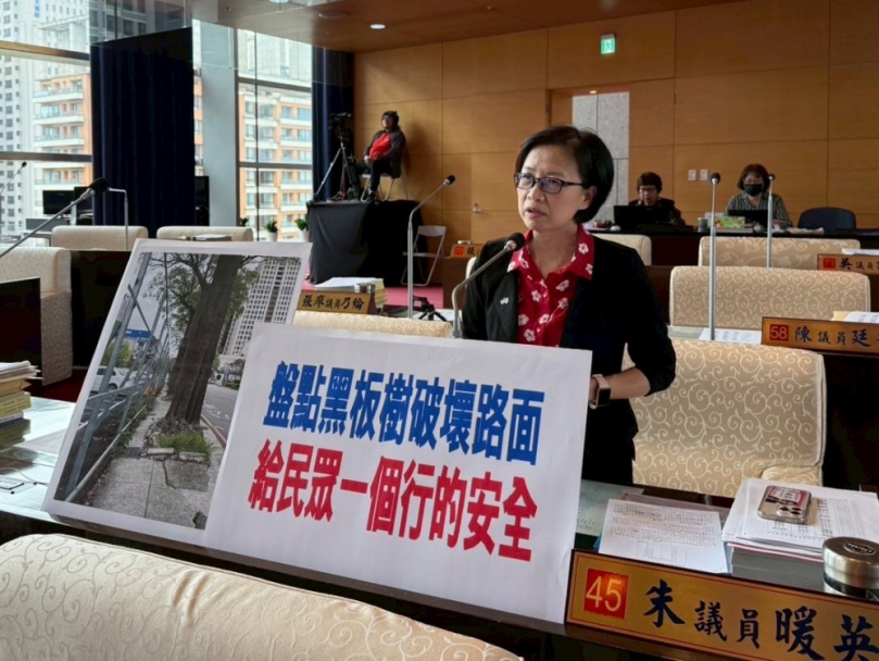 行道樹板根翻掀造成路不平   輪椅嬰兒車被迫與車爭道   國民黨台中市議員朱暖英：人行道使用頻繁區應加速改善