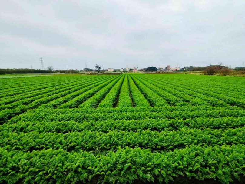 114年綠色環境給付計畫補申報作業即將開跑籲請儘早完成申報作業