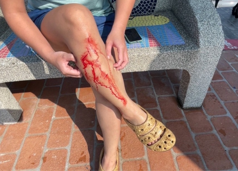 民進黨台中市議員王立任質疑台中市政府斥資三千萬元興建的大安海水浴場的觀光路廊成為一個充滿危機的「殺人海域」    中市觀旅局要求業者全面加速清理大安濱海樂園施工遺留廢棄物、函送工程會列不良廠商