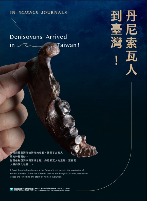 《丹尼索瓦人到臺灣》限時開展 揭開古人類研究新篇章