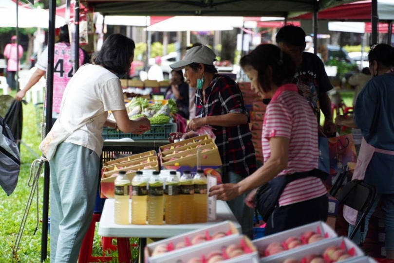 五峰甜桃快閃新瓦屋   吃甜桃明天還有一天   秋維書：山上還有溫泉、原民文化