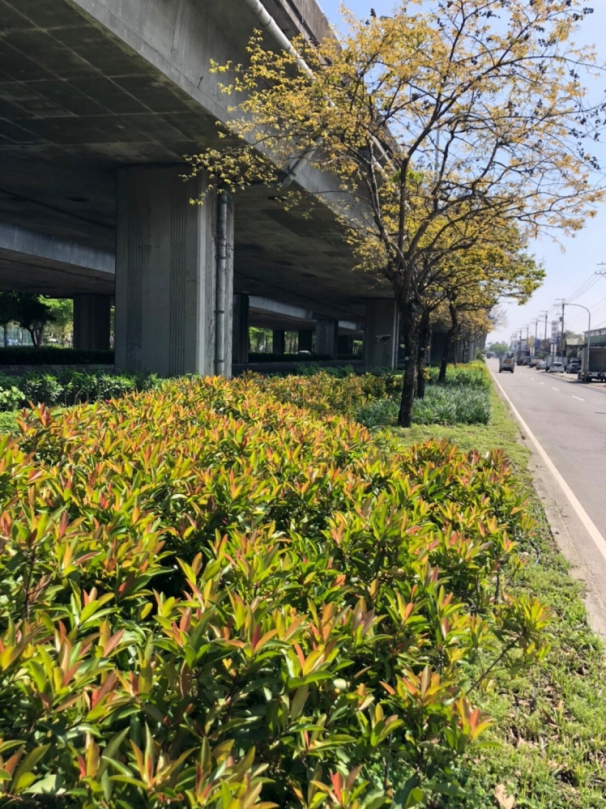 公私協力綠化橋下空間   中市建設局積極推動「台74綠指環」計畫