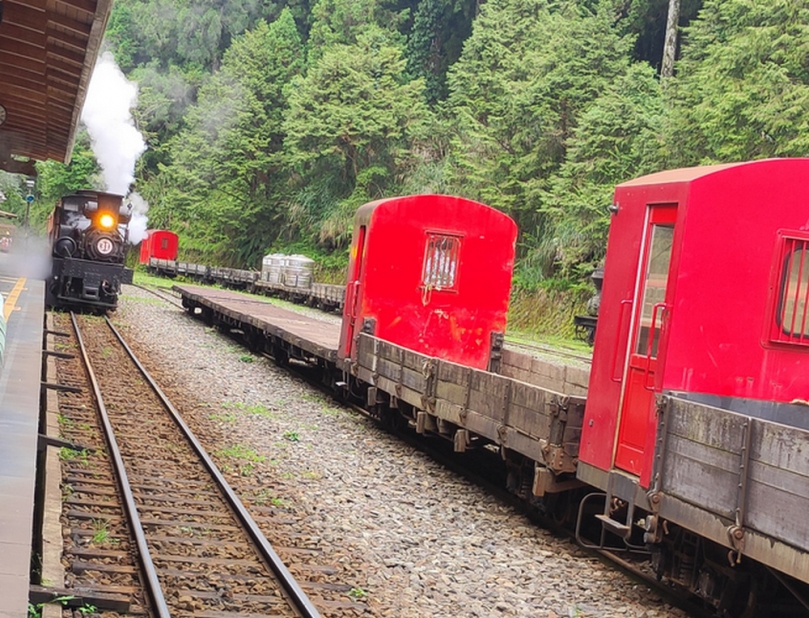 夏日搭百年蒸汽火車漫遊 阿里山賓館推雲端國度曙光日出專案