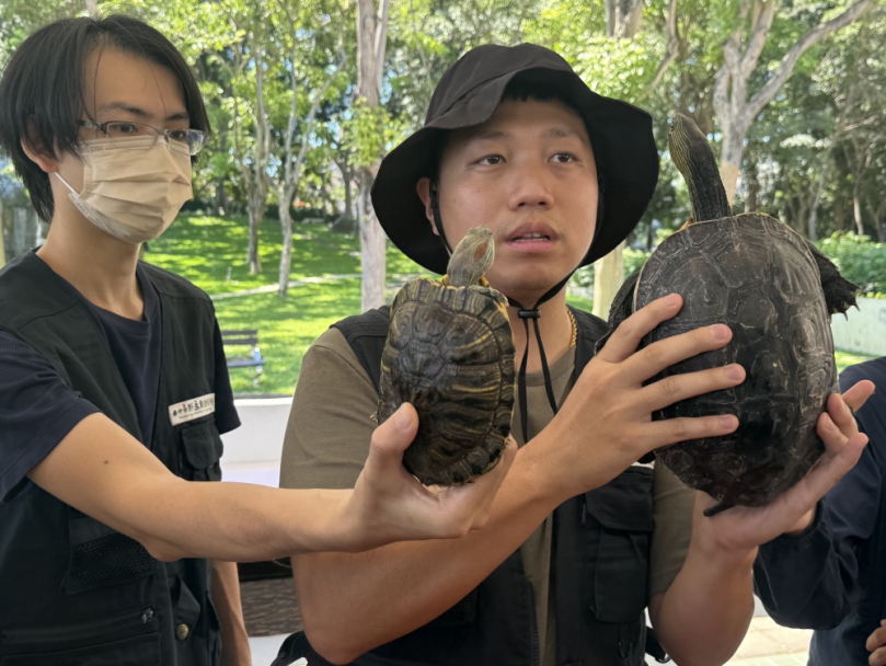 守護原生生態提升保育行動力！中市建設局辦「斑龜辨識教育訓練」