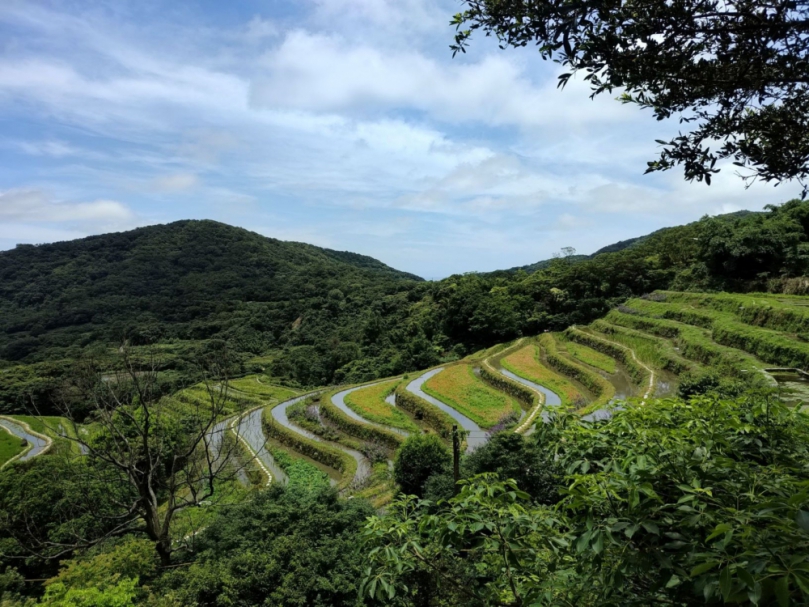 新北生態服務給付申請至6月底 每公頃最高可領7萬生態薪水