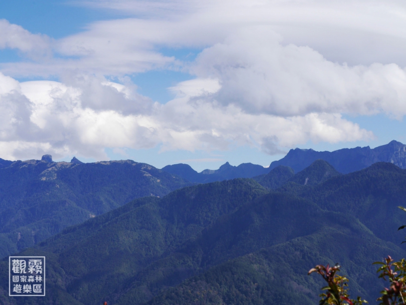 「雲霧中的命定之道」新竹林業分署首度解鎖觀霧森林路