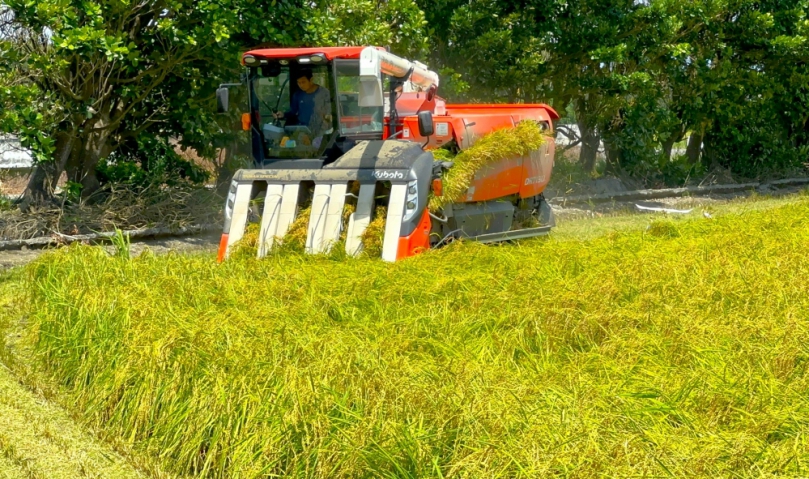 日本米荒價高搶不到  台灣國產好米神救援