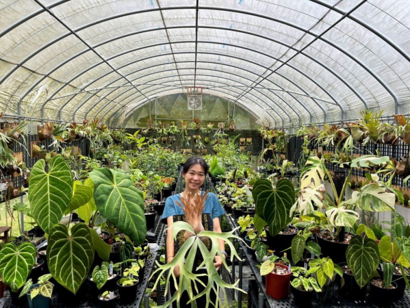 植愈蒔光節7月5日淡水登場 42綠植攤位療癒人心