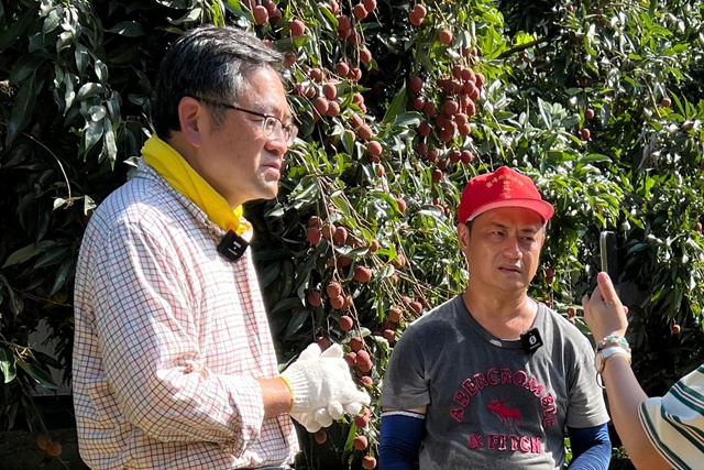 霧農大叔教如何吃荔枝不上火   瀏覽人次3天破200萬