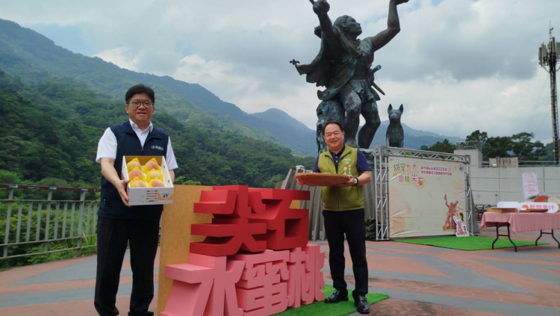 尖石水蜜桃甜美上市   新竹郵局提供6大銷售平台   幫助果農拓展收益