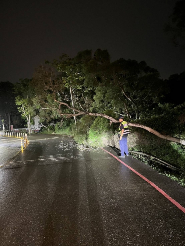 丹娜絲颱風尾掃倒6米高路樹  烏日警冒雨鋸樹與民徒手搬運排除