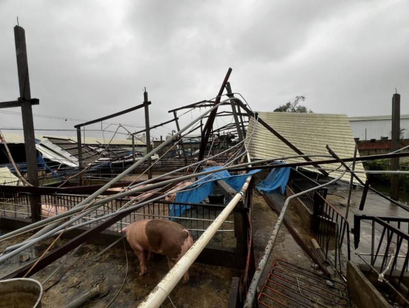 丹娜絲颱風重創南市畜牧業 黃偉哲盼中央攜手地方助農民重建