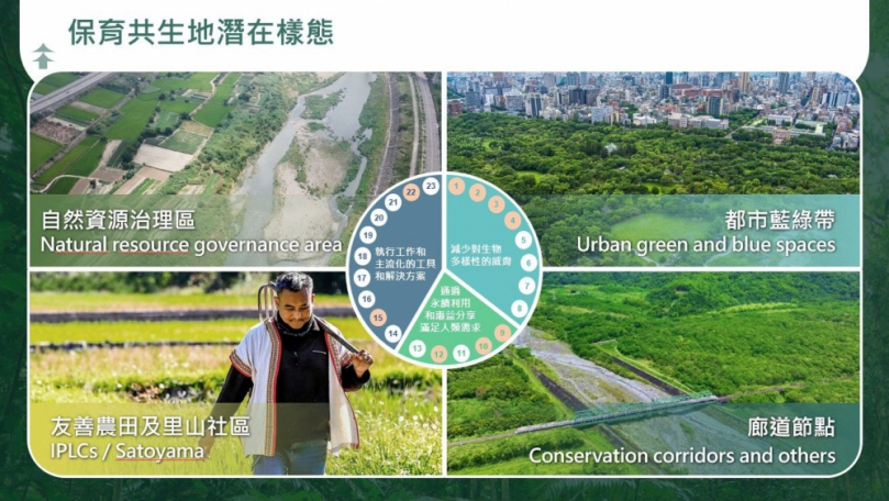 「保育共生地」不只是保護區   新竹林業分署盼開啟保育共生新篇章