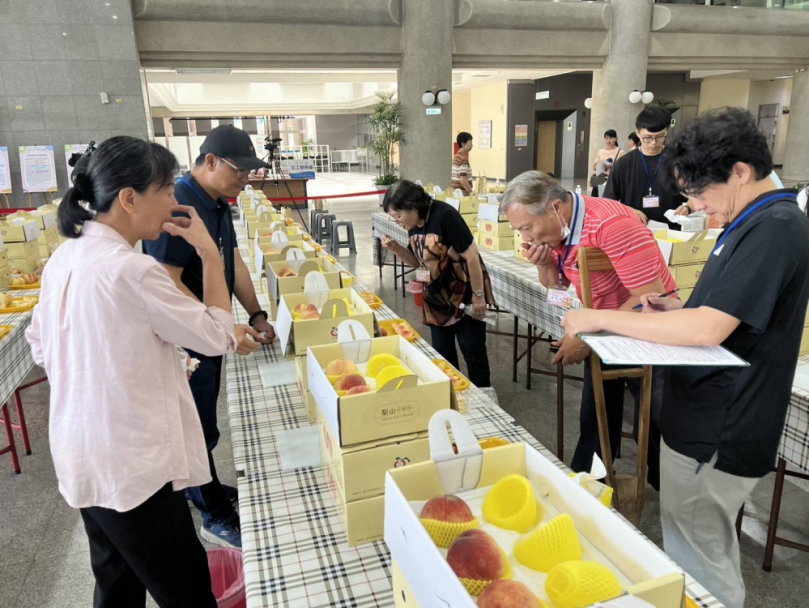 台中市優質水蜜桃評鑑結果出爐 農友汪煥洲榮獲水蜜桃達人
