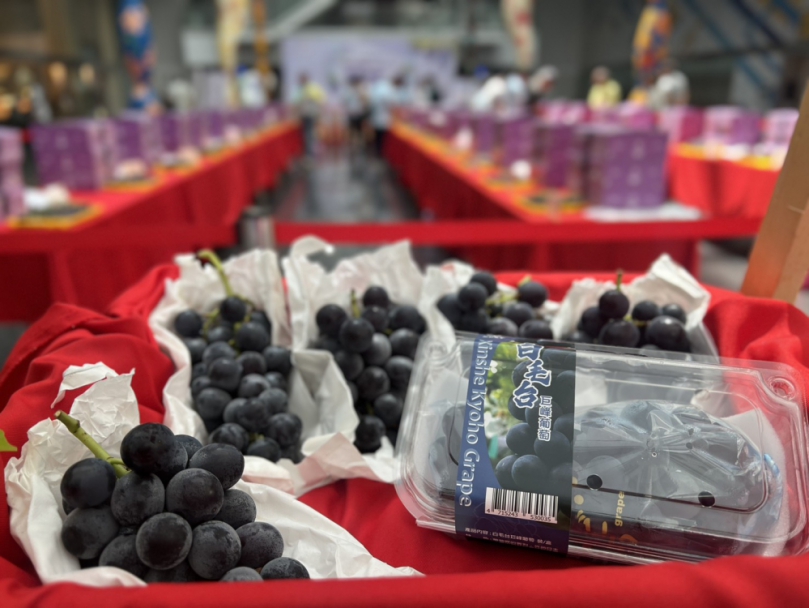 台中葡萄永續果品評鑑 總獎金逾32萬元 第一階段果品評鑑結果揭曉