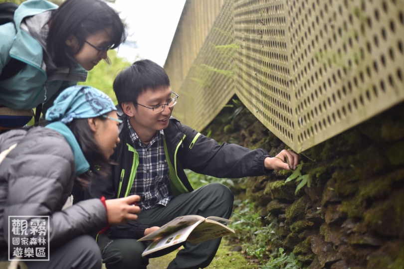 新竹林業分署邀您走入霧林中   欣賞最古老的綠色身影