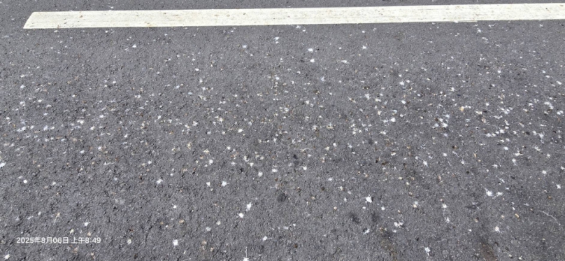 台中市后里區甲后路沿線電纜線長期未能完成地下化、不僅影響市容景觀、更衍生出嚴重的環境衛生問題、近日有民眾反映、夜間常有大量鳥類棲息於裸露的電纜線上、清晨時地面遍布鳥糞、行人與停在路邊的車主苦不堪言。