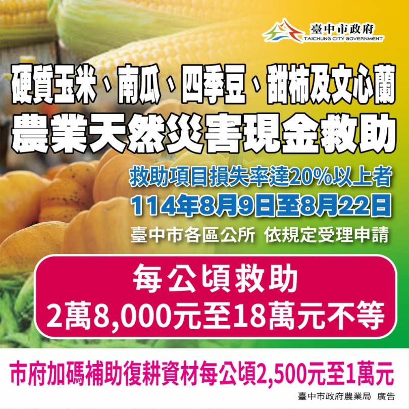中市甜柿、硬質玉米、南瓜、文心蘭、四季豆災損    8月22日前可申請現金救助