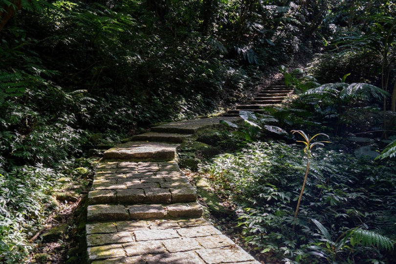 臺北大縱走特別企劃　好友齊步走 相揪挑戰九五峰