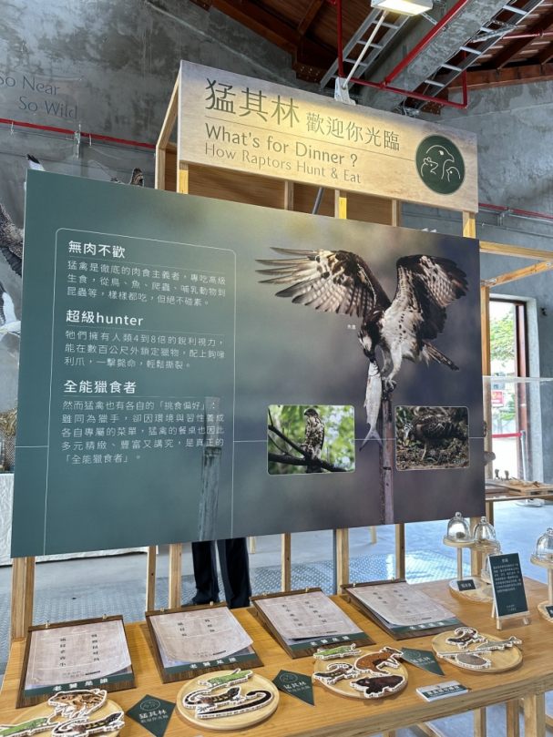 So Near, So Wild 原來我們那麼近 猛禽生活主題展東勢林業文化園區修理工廠隆重開展