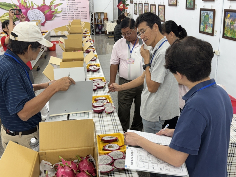 臺中市優質紅龍果果品評鑑競爭激烈　果農劉興陽獲得冠軍