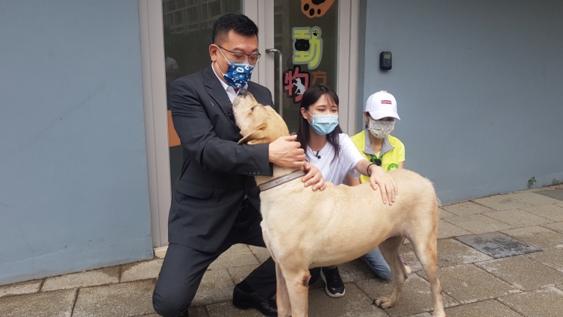 全國35位議員角逐   新竹市議長許修睿榮獲首屆「2025全國縣市議員動物保護貢獻獎」