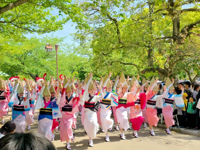 正宗日本徳島阿波舞新竹SOGO熱烈公演   10/3-10/21秋季狂歡購物節一定要來！