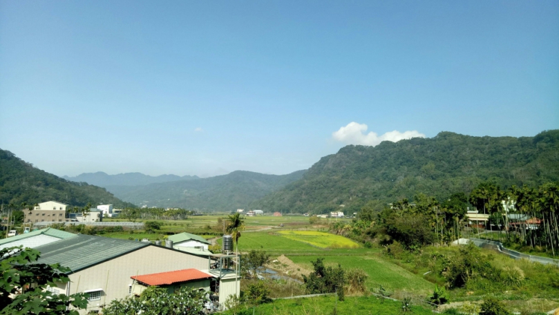 秋意漸濃   來三義體驗一日友善農作