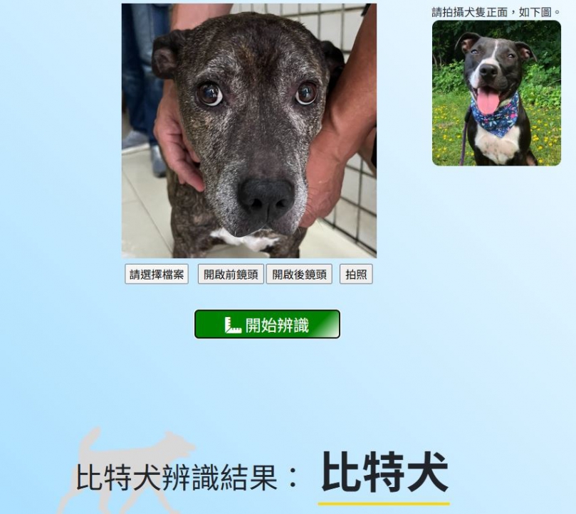 竹北發生狗咬狗   比特犬主人遭動保所併罰8萬6000元